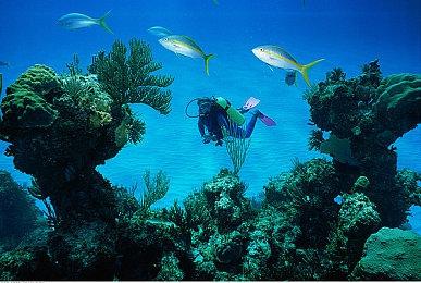 《使命召唤19》将修改多人模式匹配规则 不再基于水平